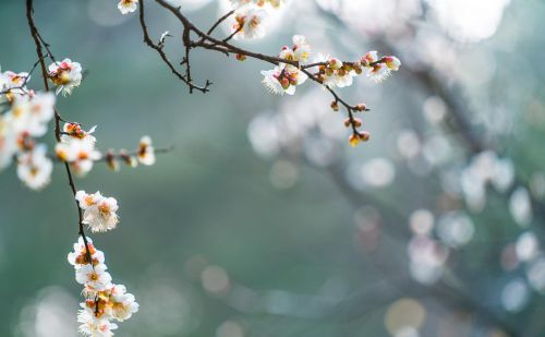 余生漫漫有你足矣下一句(余生漫漫有你足矣礼物)