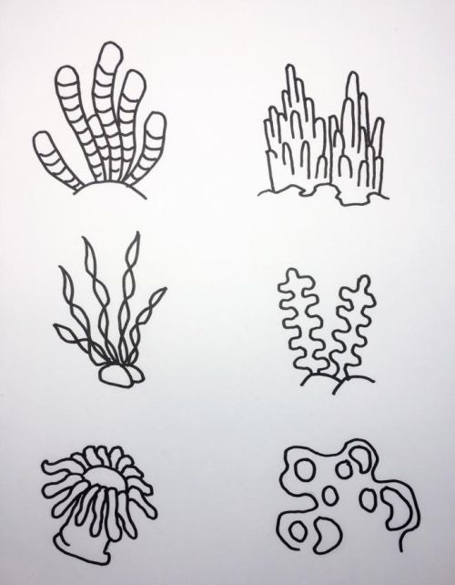 珊瑚简笔画彩色 海底世界(海底世界小鱼和珊瑚画)