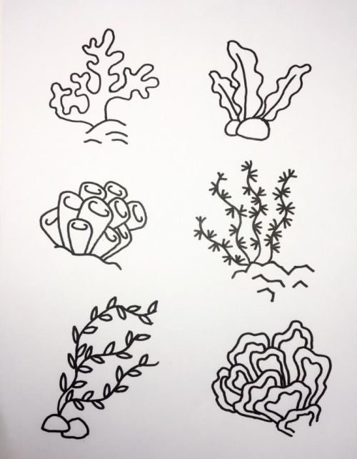 珊瑚简笔画彩色 海底世界(海底世界小鱼和珊瑚画)