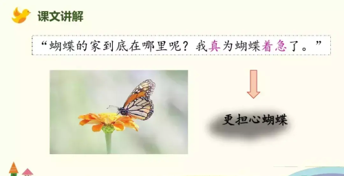 四年级上册语文第八课蝴蝶的家知识点(四年级上册第八课《蝴蝶的家》)