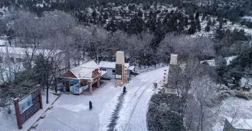 我慢慢地听雪落下的声音是什么歌的歌词(我慢慢地听雪落下的声音歌词)