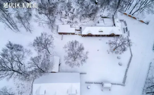 我慢慢地听雪落下的声音是什么歌的歌词(我慢慢地听雪落下的声音歌词)