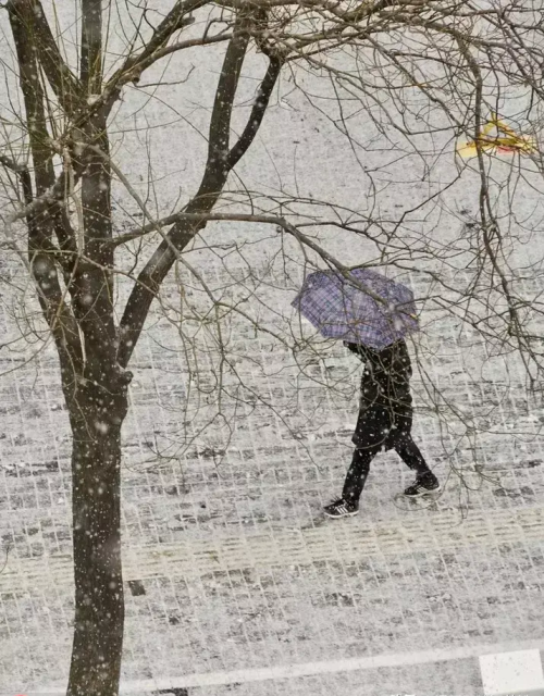 我慢慢地听雪落下的声音是什么歌的歌词(我慢慢地听雪落下的声音歌词)