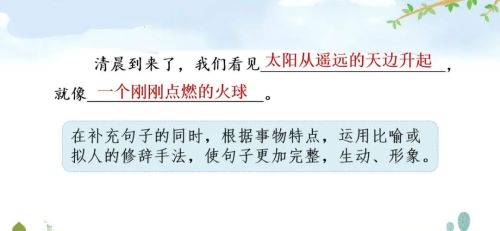 部编版三年级下册句子专项训练(三年级语文下册句子专项)