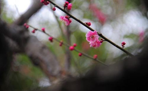 大事不糊涂小事不计较 什么意思(大事不糊涂,小事不纠结)