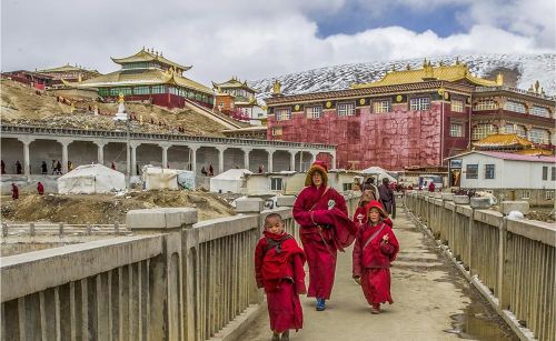 最大的觉姆寺庙(觉姆区是什么意思)