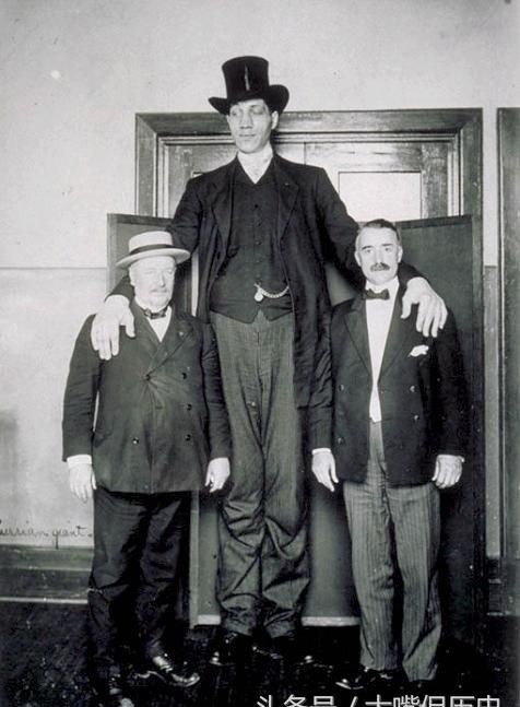 世界上最高的人的身高319米(世界上最高的人多高2米72)
