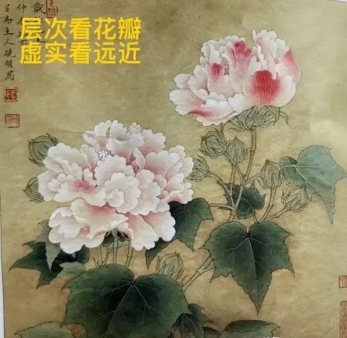 红芙蓉图临摹教程(红芙蓉图线稿)