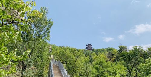 宁夏回族自治区 固原市 东岳山