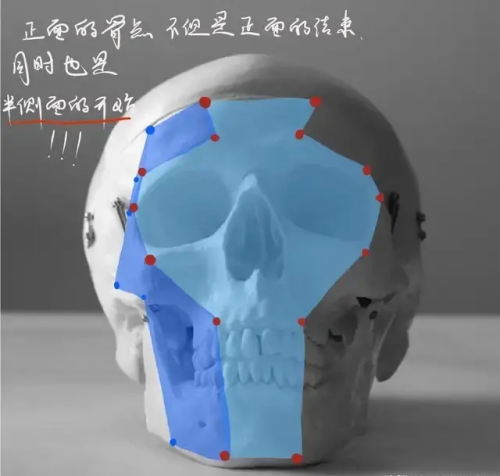 头骨解剖结构分析图(头骨解剖结构分析图片)