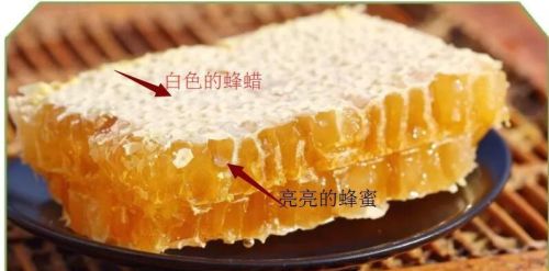 蜂巢蜜的正确食用方法和功效(蜂巢蜜的正确食用方法蜂蜡)