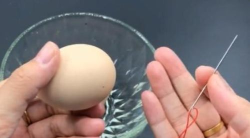 怎样用针把鸡蛋整出一个洞(鸡蛋里插针)