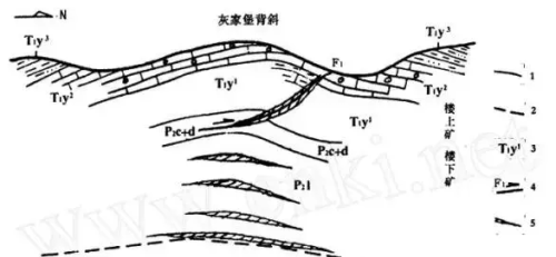 我家里有矿,你家里也有矿(我家里有矿,你家里也有矿的说说)