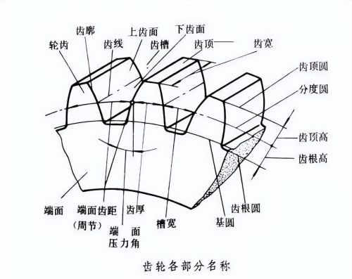 关于齿轮的相关知识有哪些(关于齿轮的相关知识点)