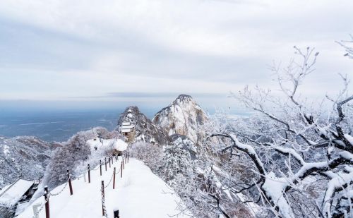 西岳华山在哪个省(西岳华山简介)