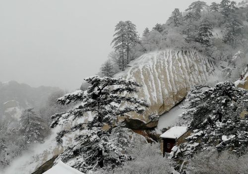 西岳华山在哪个省(西岳华山简介)