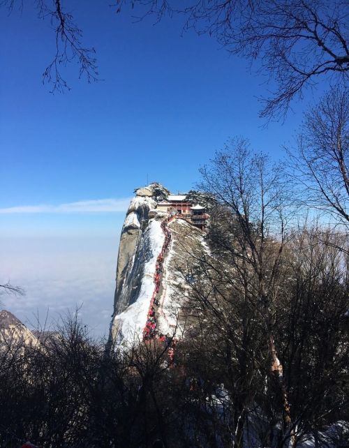 西岳华山在哪个省(西岳华山简介)