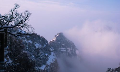 西岳华山在哪个省(西岳华山简介)