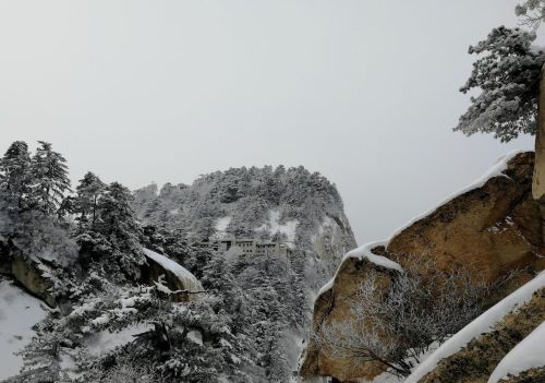 西岳华山在哪个省(西岳华山简介)