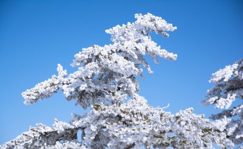 西岳华山在哪个省(西岳华山简介)