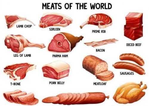 各种肉肉用英语都怎么说呢(各种肉肉用英语都怎么说写)