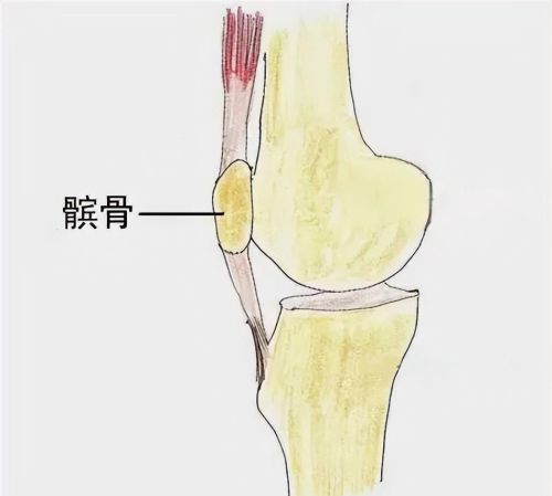 运动对膝盖的损害怎么弥补(运动对膝盖有怎样的影响)