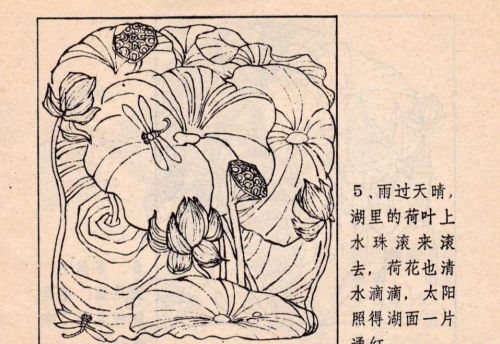 小白兔连环画4张(小白兔与大灰狼连环画)