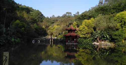 河池金城江区旅游景点(河池市金城江区景点)