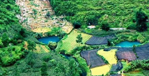 河池金城江区旅游景点(河池市金城江区景点)