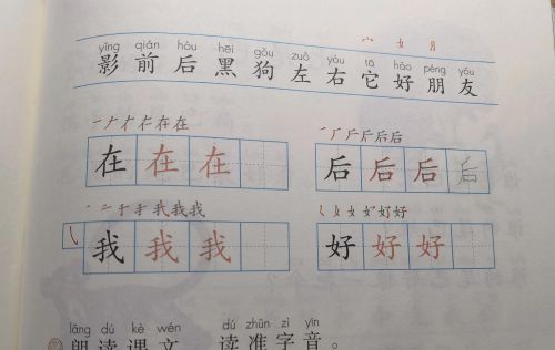 上海小学语文一年级课程(上海市小学一年级语文)