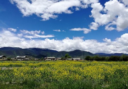 在香格里拉只要微笑就足够了英语(香格里拉告诉我)