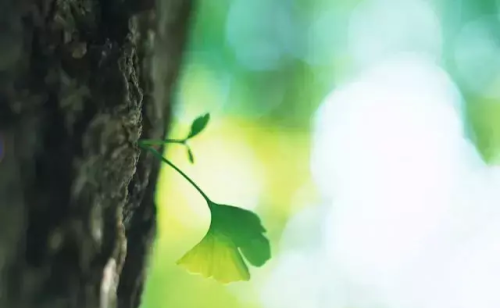 家是永远的牵挂的说说(家是永远的牵挂,珍藏幸福的存根)