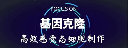 用于基因克隆过程的受体细胞应具备哪些条件?(基因克隆受体细胞)