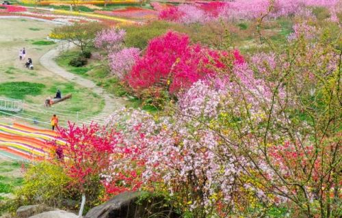 落花七律十首(落花七绝诗)