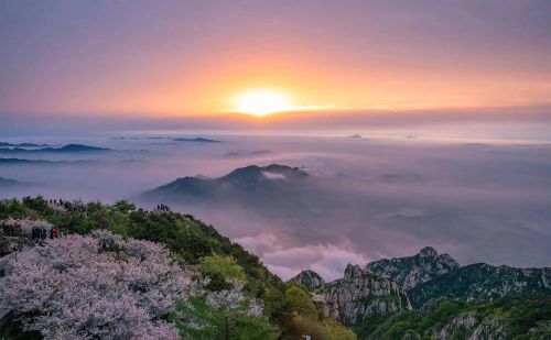 泰山日出图片 实拍(泰山日出图片 清晨 唯美)