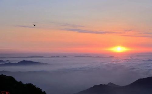 泰山日出图片 实拍(泰山日出图片 清晨 唯美)