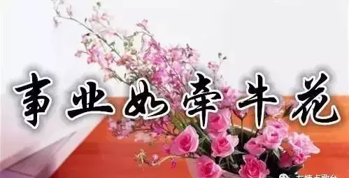 腊八,送你七朵花,愿你好运来到(腊八节送花是什么意思)