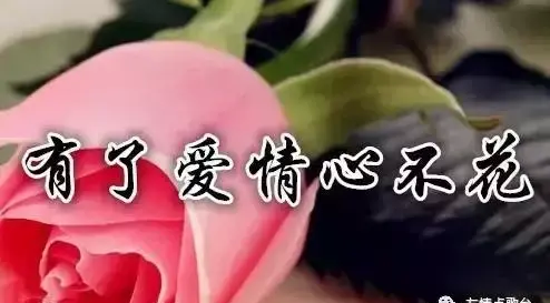 腊八,送你七朵花,愿你好运来到(腊八节送花是什么意思)