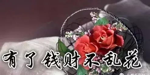 腊八,送你七朵花,愿你好运来到(腊八节送花是什么意思)