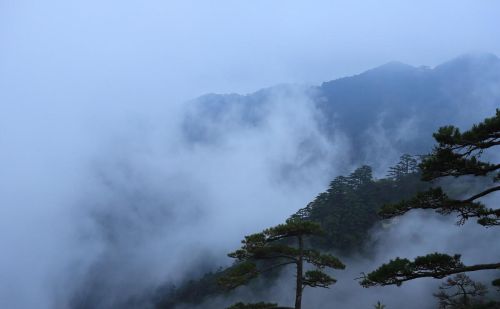 诸葛亮静以修身俭以养德什么意思(诸葛亮静以修身俭以养德)