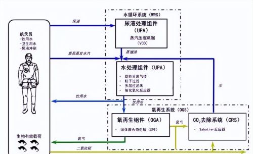 航天员一天(航天员每天要喝多少水)