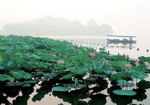 清凉夏日古诗词(夏日清凉的诗)