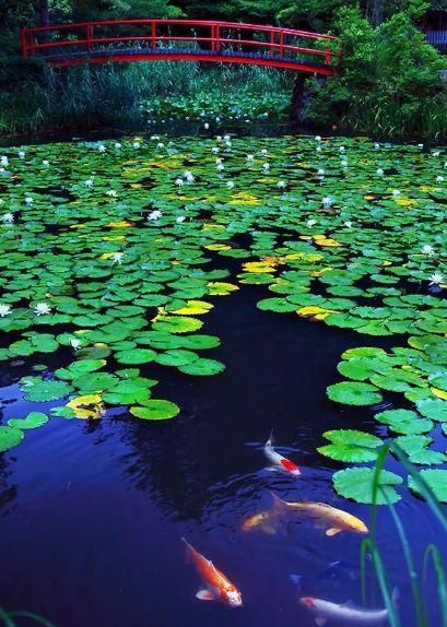 清凉夏日古诗词(夏日清凉的诗)