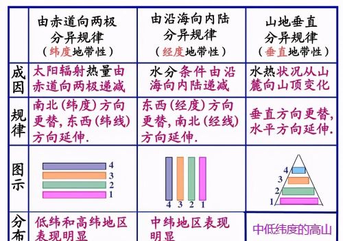 我国防护林的作用(我国防护林的种类)