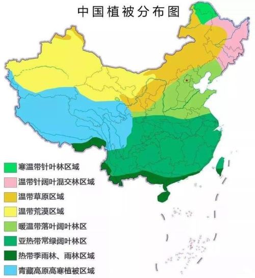 我国西北地区植被以什么为主(中国西北地区的植被类型)