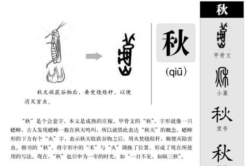 谁念过千字文章秋收冬已藏的歌名?(三字经秋收冬藏)