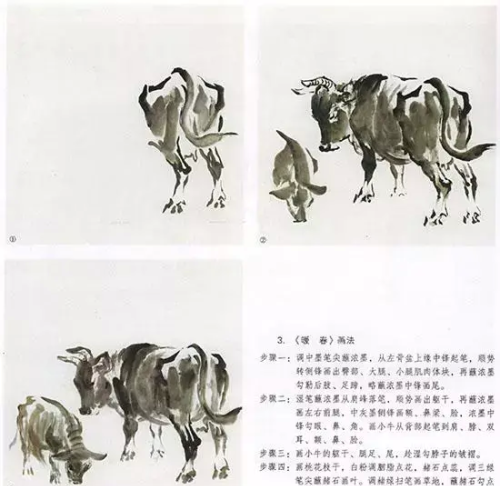 牛的画法,一学就会画(牛的画法?)