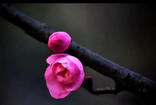 余秋雨《我在等你》原文(余秋雨我在等你表达了什么意思)