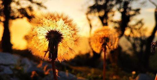 人生在世,悔过永远不会太晚,行动永远不会太早的说说(悔过的人生)