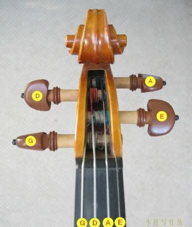 小提琴的四根琴弦的音色以及发音特点(小提琴的四根琴弦的音色以及发音方法)